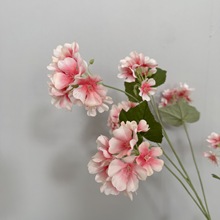 �������ÿ����滨�������û�Y�Y�üҾ��bƵ��b����Q���ļٻ�