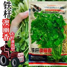 ����M؛��˷N���ļ��̨�����߲˷N���r�Ҵ��~ܾݴ����ѷNС�~