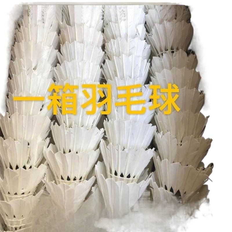 羽毛球九成新教学培训多球训练球赛前综合练习球|undefined