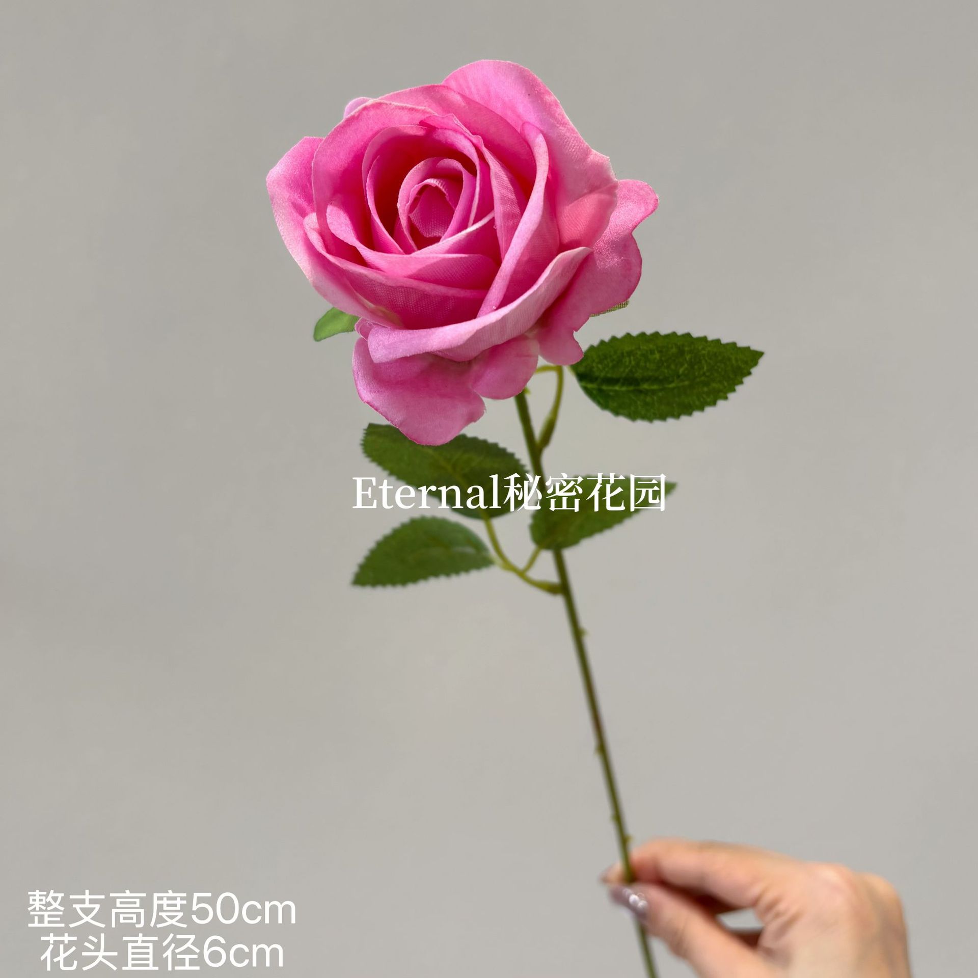 싱글 펄 로즈