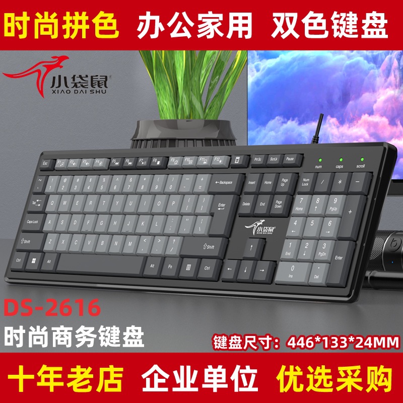 小袋鼠DS-2616时尚商务键盘拼色薄膜办公电脑家用有线PS2圆口双色