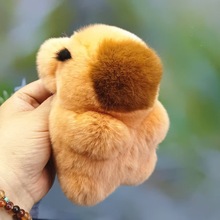 HëżƤˮŮ耳׿۰֙C