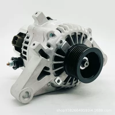 Generatorlar hissələri (Dinamo və detalları) Bird 1.6 Series 23100-5ME1A