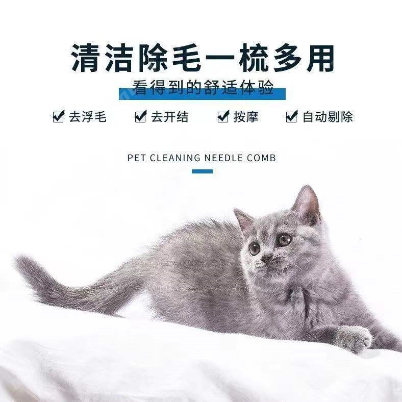 b0af35393bc6a5ae7b2061fed57bae