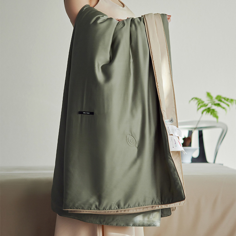 Class a 100-Count Lenzing Tencel Mulberry Silk Summer Cool Quilt Ultra-Fine Denier Lyocell Air-Conditioned Quilt Machine Washable Ice Silk