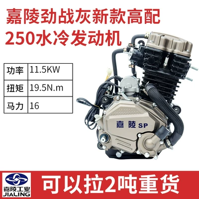 Motorcycle engine and accessories Engine 175 200 250 - jialing-three-wheel-motorcycle-original-250-water-cooled-engine