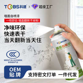 墙面喷漆家用环保水性漆内墙涂鸦翻新自喷修补墙漆白色修补乳胶漆