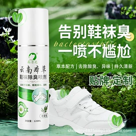 鞋套、鞋刷;皮革家具;多用途清洁剂