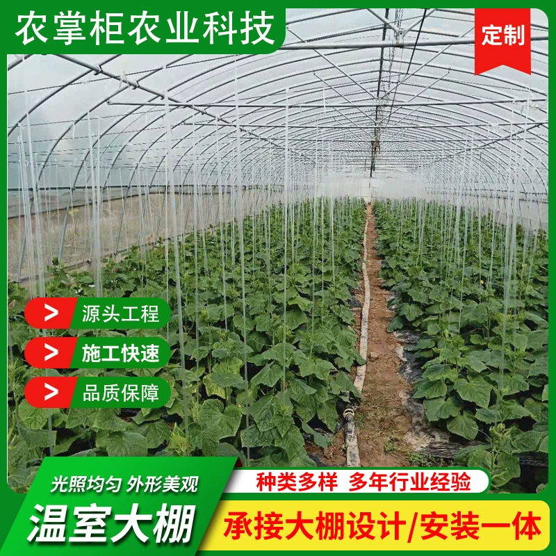 Производители из Цзянси строят теплицы для овощей, одиночные теплицы для овощей, арки для теплиц могут измеряться на месте.