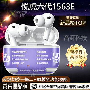�������_�N�����O���1563E�A�����{�����C�����ߴ��m����O��6��