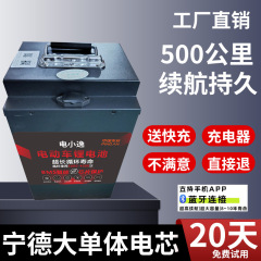 宁德磷酸铁锂电动车锂电池二三轮车48V60V72V外卖专用大容量电瓶