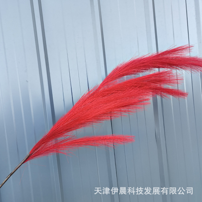 1m 긴 12갈래 갈대 - 진한 빨강