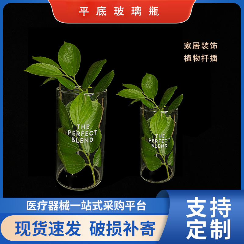 定 制 烤花平口平底高硼硅玻璃瓶65*120mm植物水培玻璃瓶可配塞子