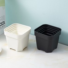 ���M���غ�Ӻ�\����С���ڰ�ɫ���⾰������������ʯ�����ӻ���