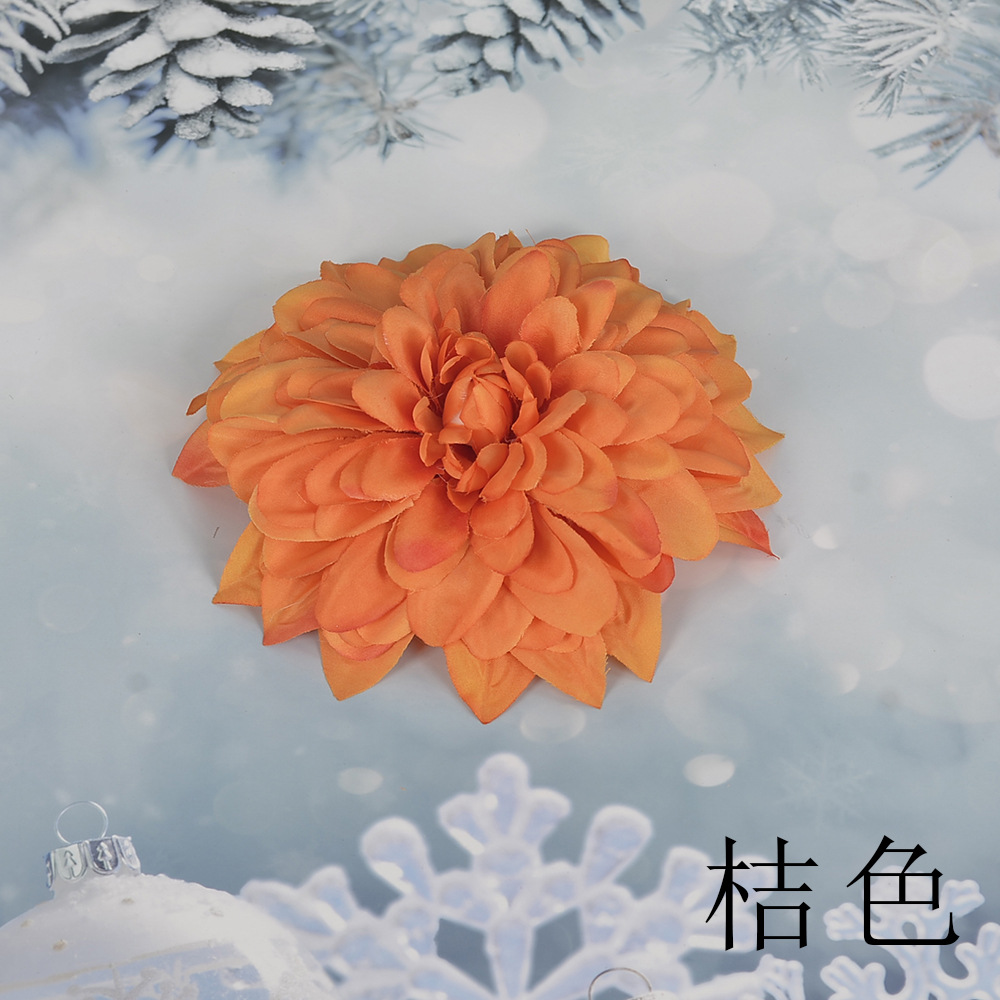 오렌지 SL 큰 epiphyllum 꽃 머리
