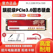 储技固态硬盘2t1t台式电脑pcie3.0笔记本固态硬盘m2 SSD高速存储