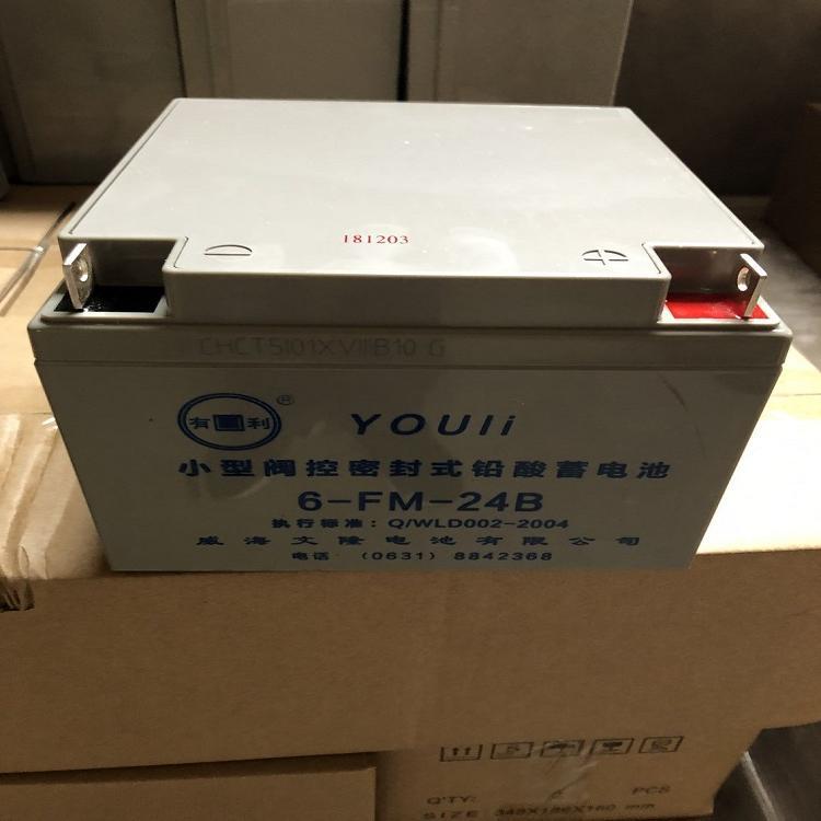 YOULI有利蓄电池6-GFM-24 12V24AH机房UPS配电室 EPS直流屏 消防