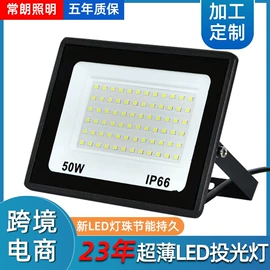 太阳能灯;投光灯;路灯