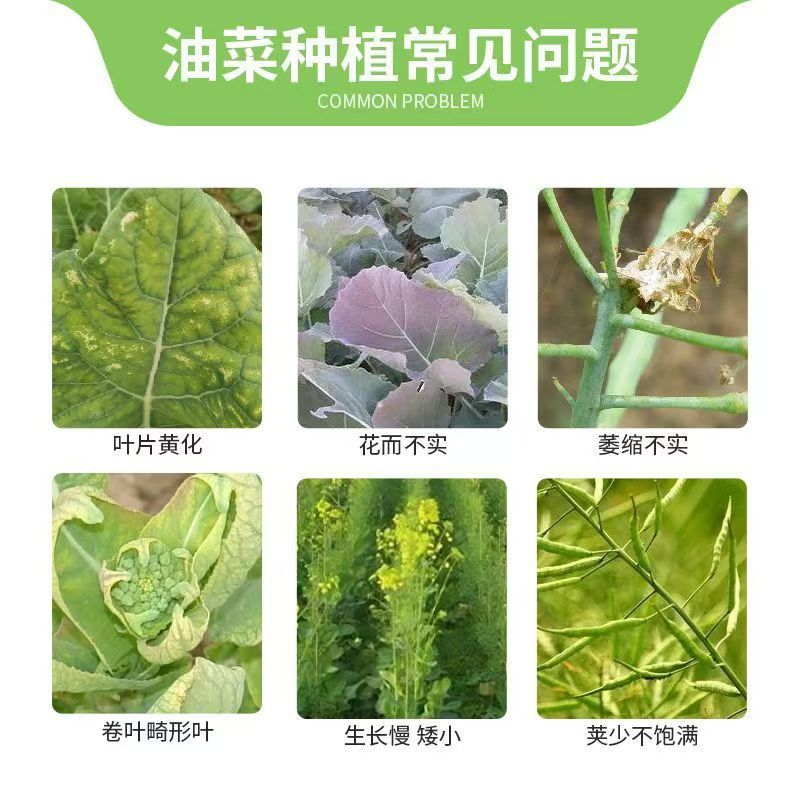 微信图片_20241127185204