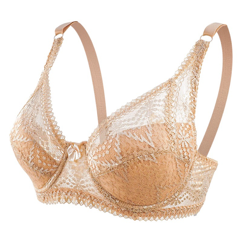 Ropa Interior Negra de encaje sexy de Europa y América push up transpirable Comercio exterior transfronterizo cómodo sujetador ajustable con anillo de acero image 1
