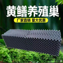 �S�Xˮ���X���X�B�������BֳΛ󨳲Ѩ���S�X�X�~�X���˹���Ѩ����