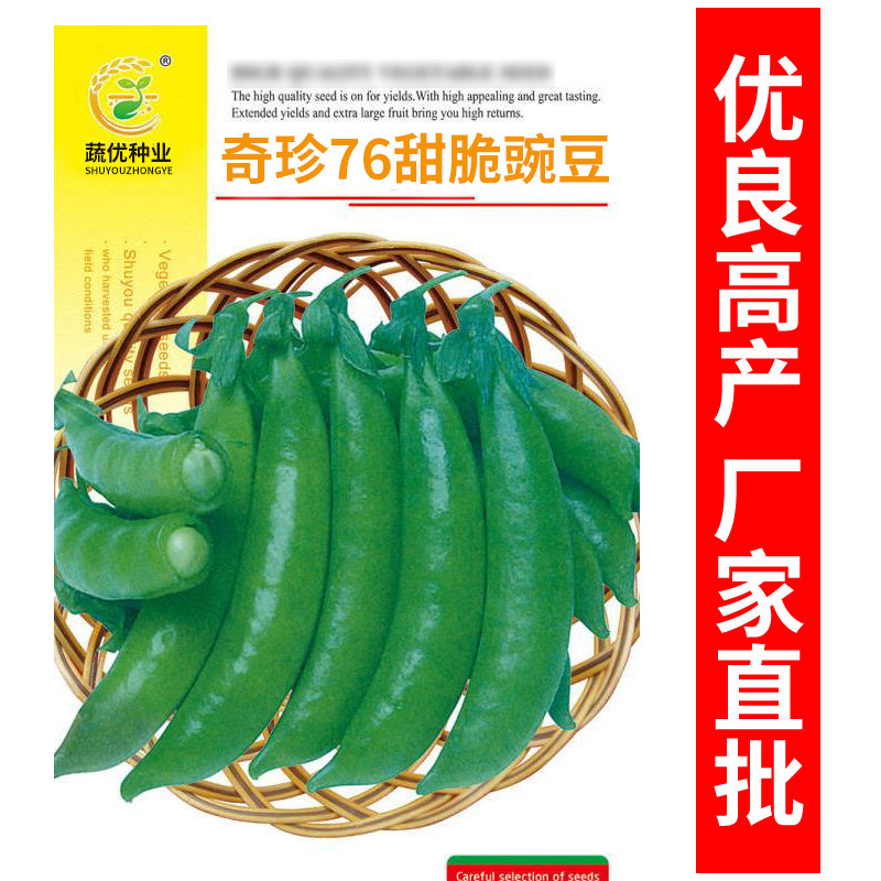 Wholesale Vegetable Garden Vegetable Seeds Qizhen 76 Sweet Snap Peas 15g Potted Balcony Yard Rapeseed Manufacturer Direct Delivery