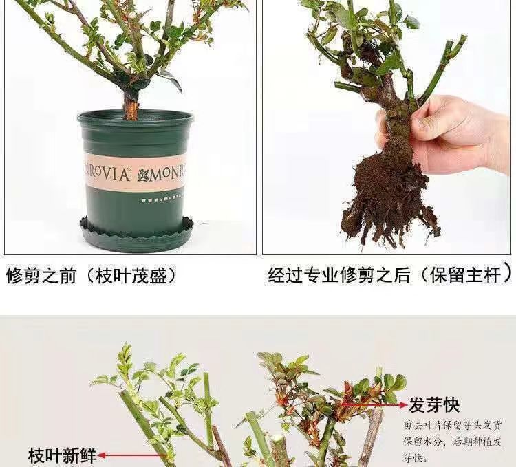 7f6a3f89-f5ac-4ff9-8894-936885859962.jpe