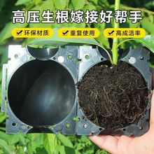 育苗器花木嫁接移栽神器家用月季植物高压嫁接繁殖盒扦插果树枝条
