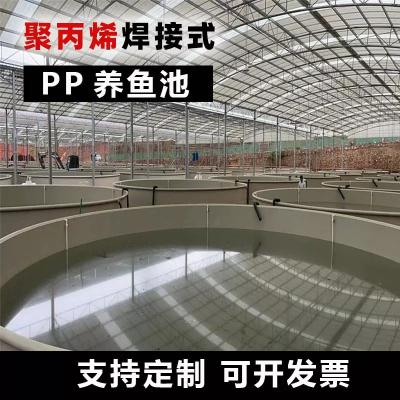 pp养鱼池焊接式聚丙烯工厂式高密度鱼苗虾苗养殖池水产设备PP鱼池