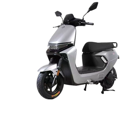 Scooter for Delivery, Elektrikli motosikletlər