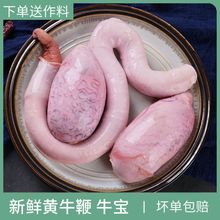 牛鞭新鲜整根牛宝农家现杀黄牛鞭牛蛋整套牛睾丸滋补食材牛鞭包邮