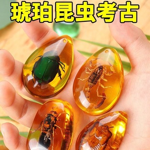 �S�����l���x����Y���˱�����ϐ��֩��֪���x��Y��ԭʯ��ͯ�ƌW