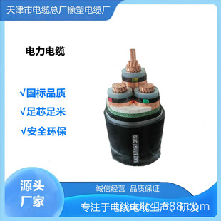 YJV22-3*16mm&sup2;�z�b�����|Դ�^���S