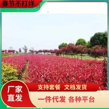 һlt~ʯ骘ֲļͥԺGľԼt_eG