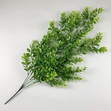 ����Gֲ�ڒ��҃������컨�ٗl�͏d�Ғ�ާ�ֲ�������Gɫֲ�����l