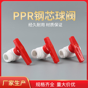 ppr�о���yƽ�ڽ�ֹ�yˮ�ܹܼ�����S�����l 20-110 �о���y�T