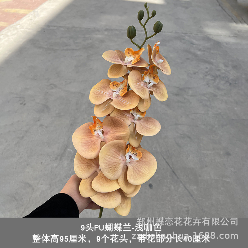 PU9 cabeza marrón claro