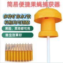 简易实蝇诱捕器果园瓜地专用桔小实蝇针蜂瓜蝇诱捕盖头可配引诱剂