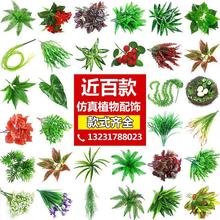 ֲ ٲݾGֲٻ҃ȱG ̈