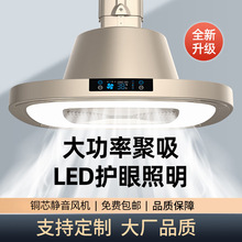 �齫�����̵��������������ƿ���������ֱ��ʽ��¥�����·����̵�