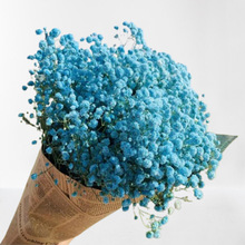 ������u�M���Ǹɻ������� diy�ֹ����ϱ��r���M����Դ�^�S�����l