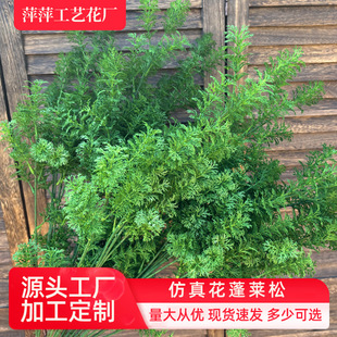 ��c�Gֲ���R�ɷ������ϾGɫֲ�������ɲݻ�c���滨�b��ľGֲ