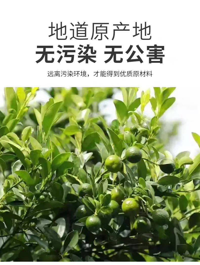 Freeze-Dried Green Kumquat Slices 500g Qing Ju Citrus Fruit Tea from Hainan quality and texture