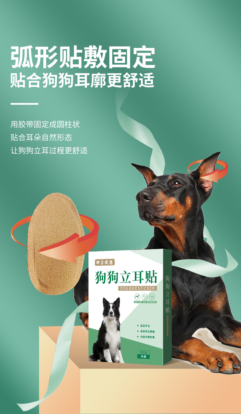狗狗立耳贴详情_05.jpg