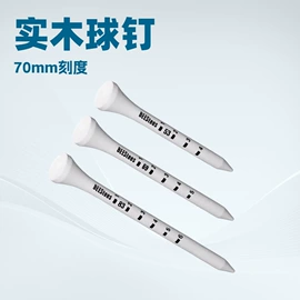 高尔夫球钉;高尔夫配件