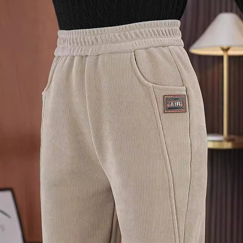 秋冬哈伦裤加绒休闲裤2024新款显瘦高腰直筒保暖长裤宽松小脚裤