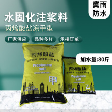 厂家批发冻干型丙烯酸盐水固化AB组纳米级渗透性高压灌浆材料