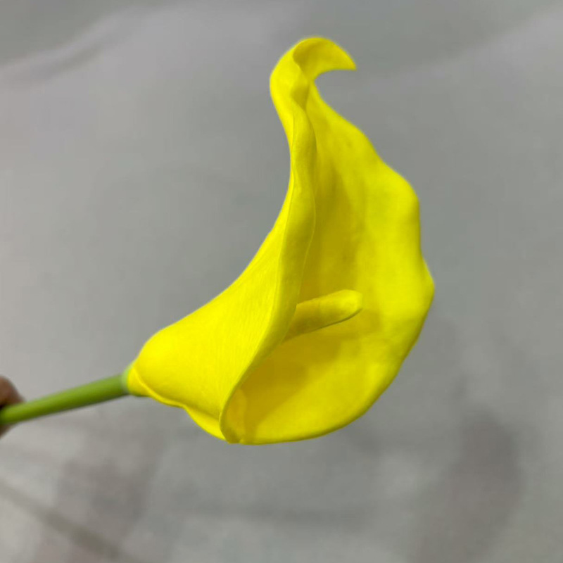 弯尾马蹄莲仿真花家居装饰摄影道具婚庆|undefined