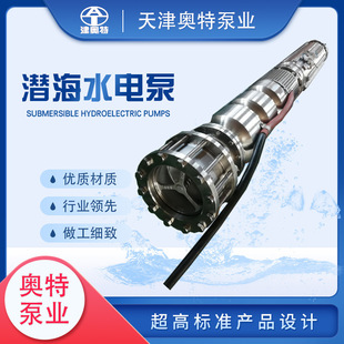 304���P����110KW���Ý�ˮ���p�����ˮ��ˮ�ÏS�ҹ�؛