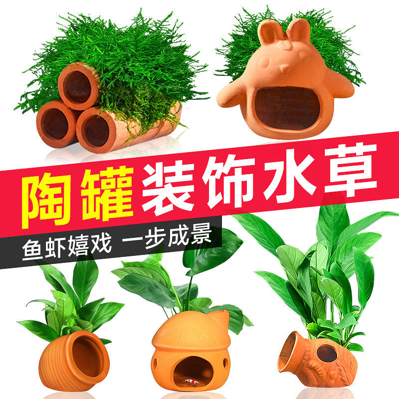 Fish Tank Landscaping Decoration, Fish and Shrimp Hiding House Ornaments, Small Fish and Turtle Tank Decoration, Complete Set of Real Plants, Moss, and Aquatic Plants for Lazy People